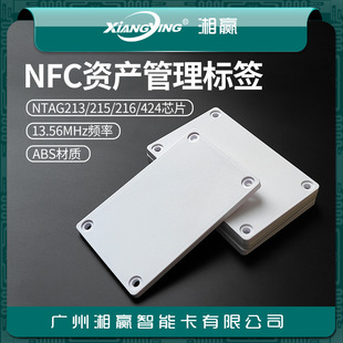 Nfc Fixed Asset Management Tag Nfc Digital Tag Nfc Inspection Tag Nfc Pallet Tag