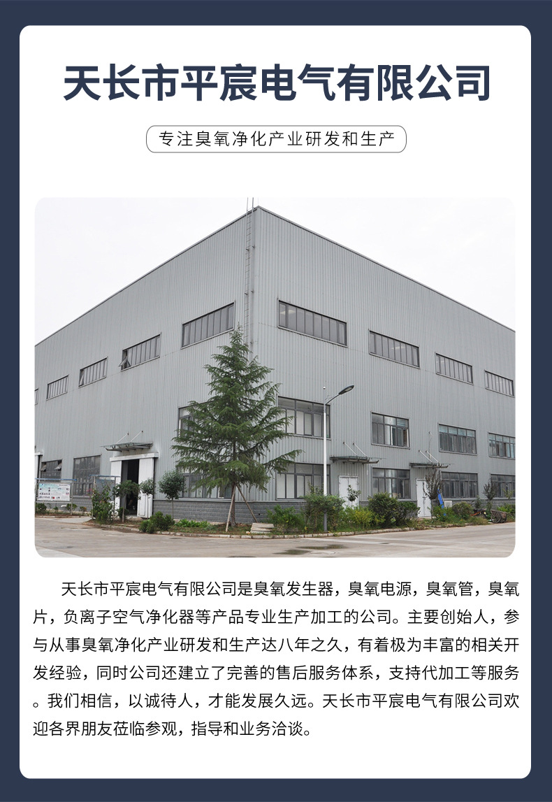 天长市平宸电气有限公司-模板_15
