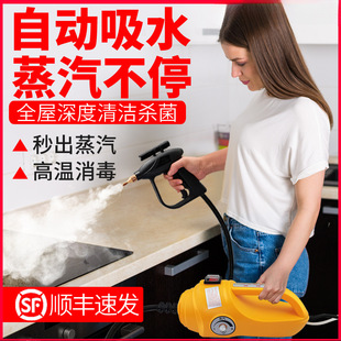 High Temperature and High Pressure Steam Cleaner Household Cleaning Kitchen Air Conditioner Range Hood Sofa Home Appliance Disinfection Car Washing Machine