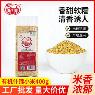 25�ꮔ���ЙCС������s�Z���ϾGС��С�S�׽M�����͝�������