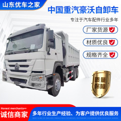 中国重汽豪沃ダンプトラックは安定した運転、強力なパワー、完全な仕様、品質保証を備えています。