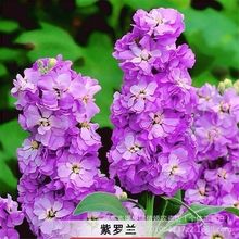 _mNӶ޸̨҃ͥԺ׻ļ