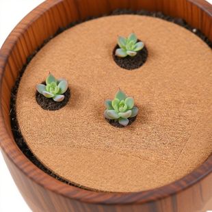 ͸�Ᵽ��Ҭ�؉|������ֲ��É|�����ԾGֲ���o�|Ƭ