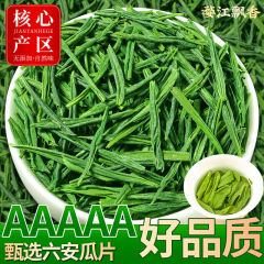 特級雨前六安瓜片2024年新茶春茶高級若芽高山緑茶茶茶葉清香濃香型