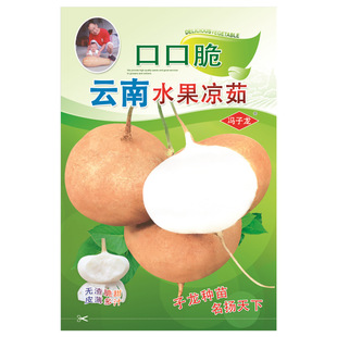 �عϷN�� �ڿڴ����ˮ������ �T�����S��ֱ�����������ش���