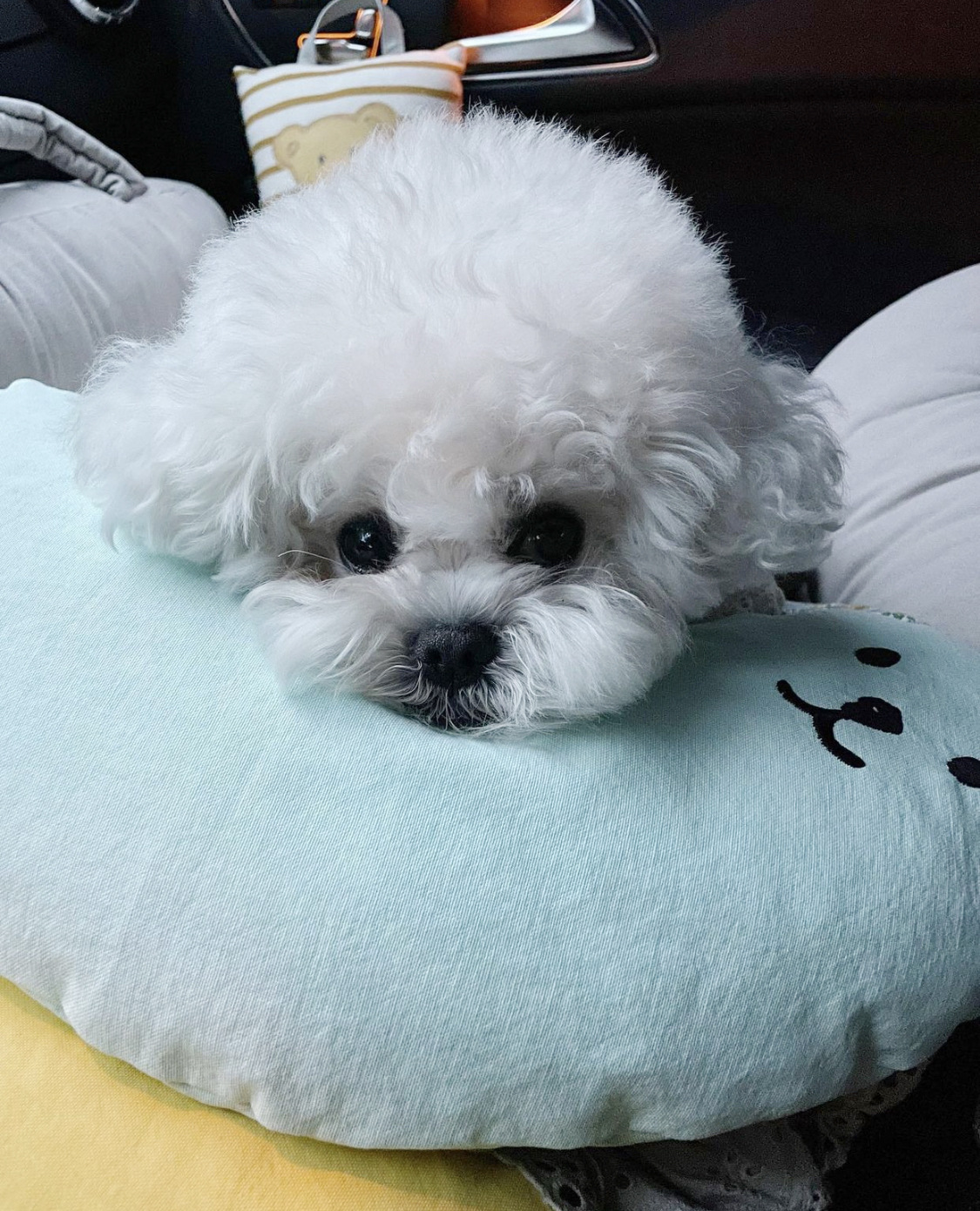 라이트 스카이 블루