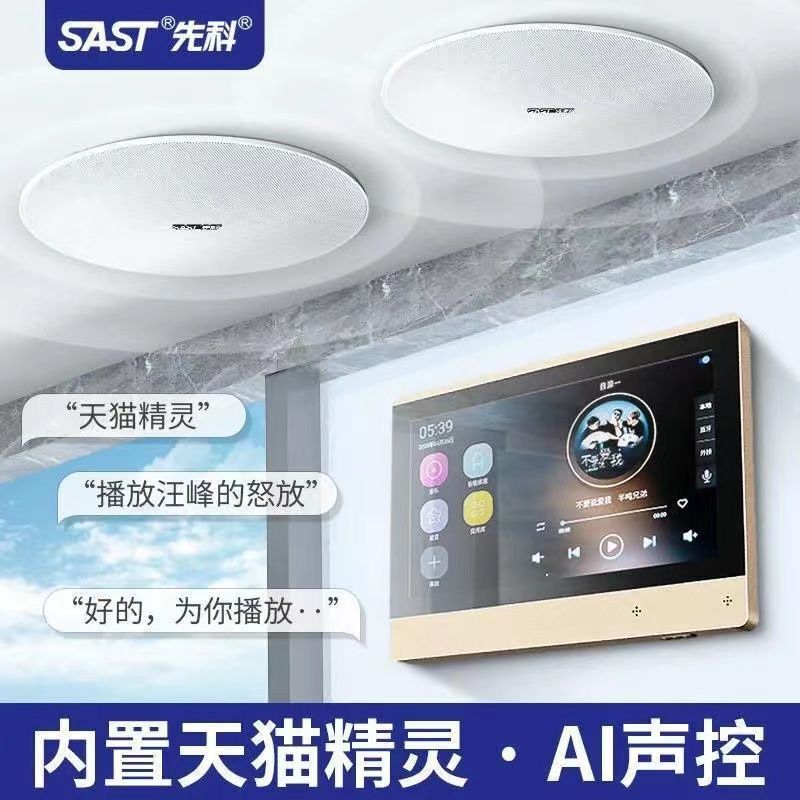 Xianke X7 voice ceiling audio embedded ceiling ceiling home smart home system whole house subwoofer box