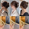 Elegant hairgrip, metal hair accessory, crab pin, shark, hairpins, South Korea, internet celebrity