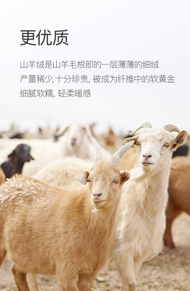Áo sơ mi nam tay dài công sở chống nhăn không cần là, pha cashmere 15%, form vừa vặn — Màu xanh xám-dài tay-nam-02, Trắng-dài tay-nam-01, Xám-dài tay-nam-03 chi tiết 8
