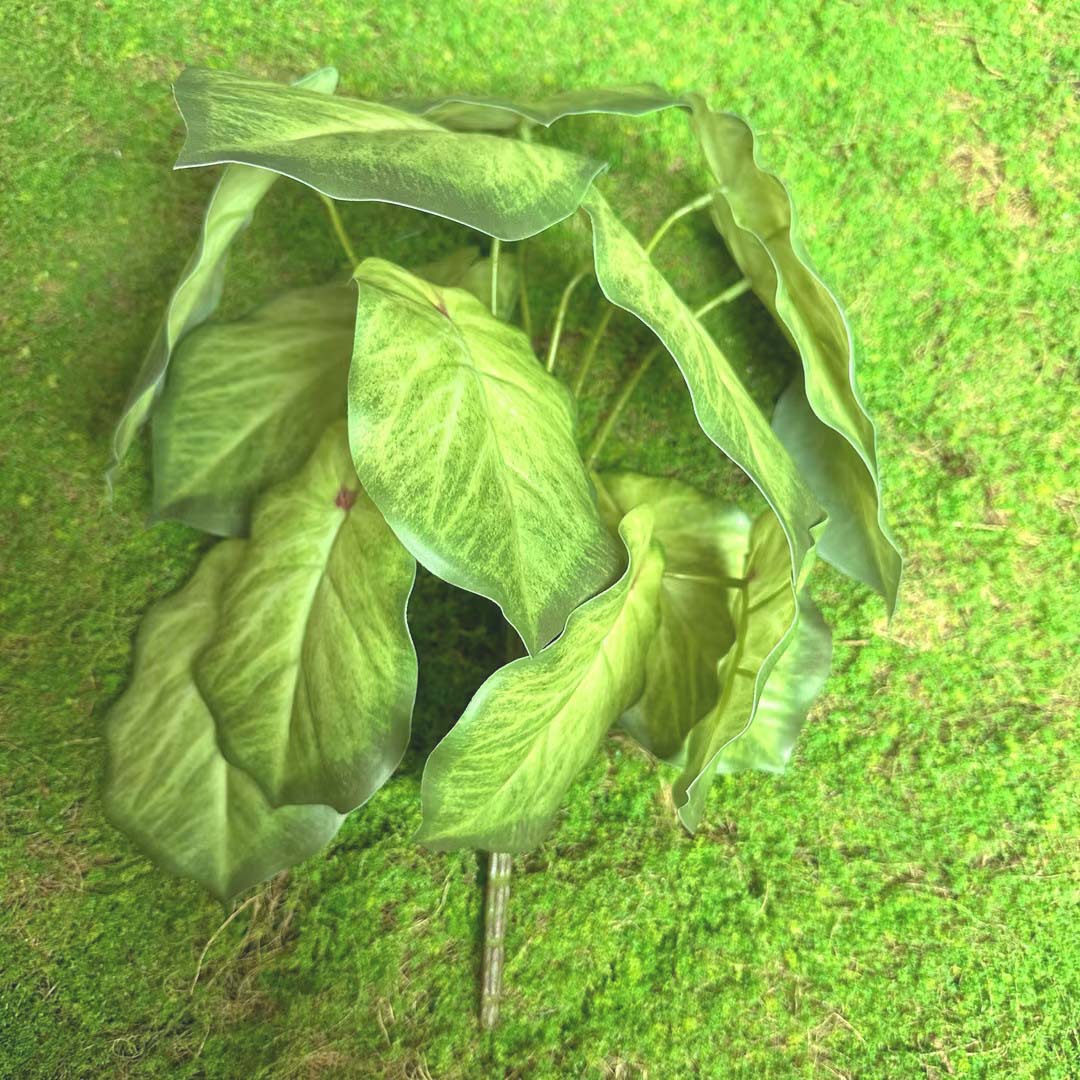 Fairy Cave tortuga hoja sentir arreglo floral hoja material planta esquina ventana belleza paisaje decoración artificial planta verde mango haz