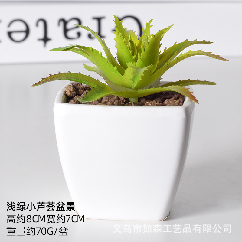 Simulación de plástico carnoso bonsai flor falsa combinación oficina interior escritorio plantas verdes pequeños adornos plantas artificiales al por mayor image 43