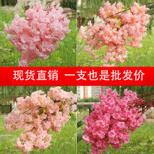 ����ѻ��ɻ��ٻ����ܻ�֦�쾰�ѻ����b�Y���T�̈��͏d���滨