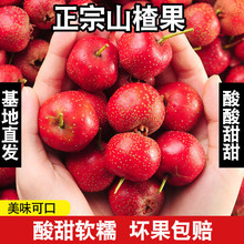 ɽ髹����rɽ髹����r���r��ɽ�ˮ��؛���Ǻ��J��Ȼ�t��