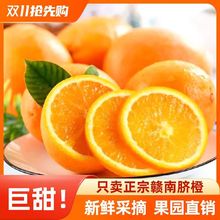 ��˳����ʡ������������ˮ��������ȵ���VC�߶˳����������