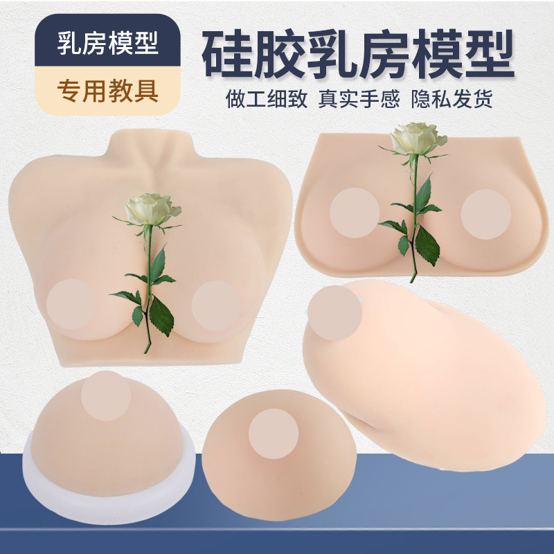 Ů���鷿ģ�� ����ʦ��ѵ���߲����ѧģ�� �轺���鷿 ҽѧ�̾�