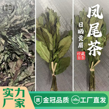 PβؕüȺwNС˲߰Ѳ2024²üԭa