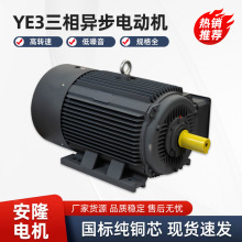 ��������YE3�����첽�綯���ͺŶ������õ����Ч��ȫͭ������
