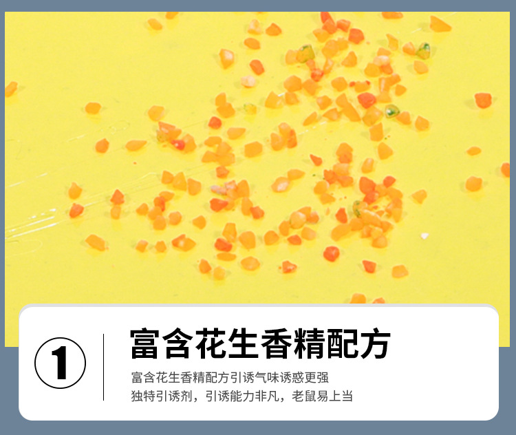 新蟑螂粘详情_04