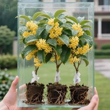 𻨘Խ҃ȹ̨ܾ҃GֲͥԺ辰