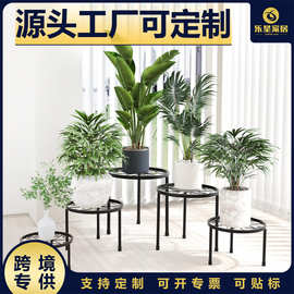 跨境园艺单层铁艺小花架阳台室外支架五件套绿萝吊兰盆栽花架