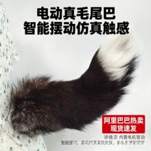 2026��cosë�qβ����늄�Сħ�Ʉ�����Ԫ��ϵ��������β������