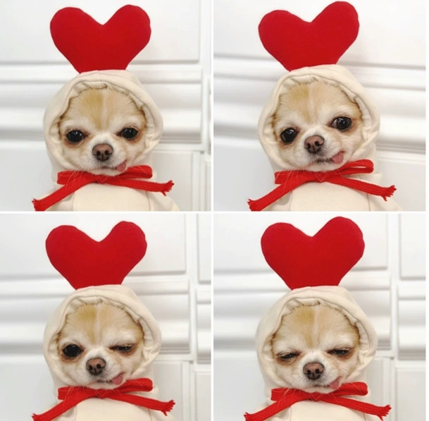 OEM индивидуальные в форме сердца трансформация Собака Кошка маленькая средняя большая собака осенне-зимний свитер флисовая одежда поставки домашних животных