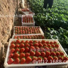 ��ݮ���d���b/��ݮ���b���d/��ݮ�к��d/��ݮ����ĭ/��ݮ���d�|