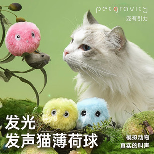 Gravity Squeaky Ball Toy Kitten Teasing Cat Ball Catnip Sound Teething Bite-Resistant Self-Pleasure Boredom Relief Pet Supplies