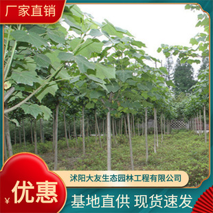 ���lľܽ�ػ�С�� ܽ�ؘ��С ܽ�ػ� ��˪�� ͥԺ�G����