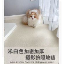 整卷地毯家用加厚大面积办公室卧室房间水泥地摄影棚拍照地毯素色
