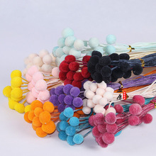 永生彩色黄金球花束永生花玻璃罩礼盒成品花材保鲜花干花家居装饰