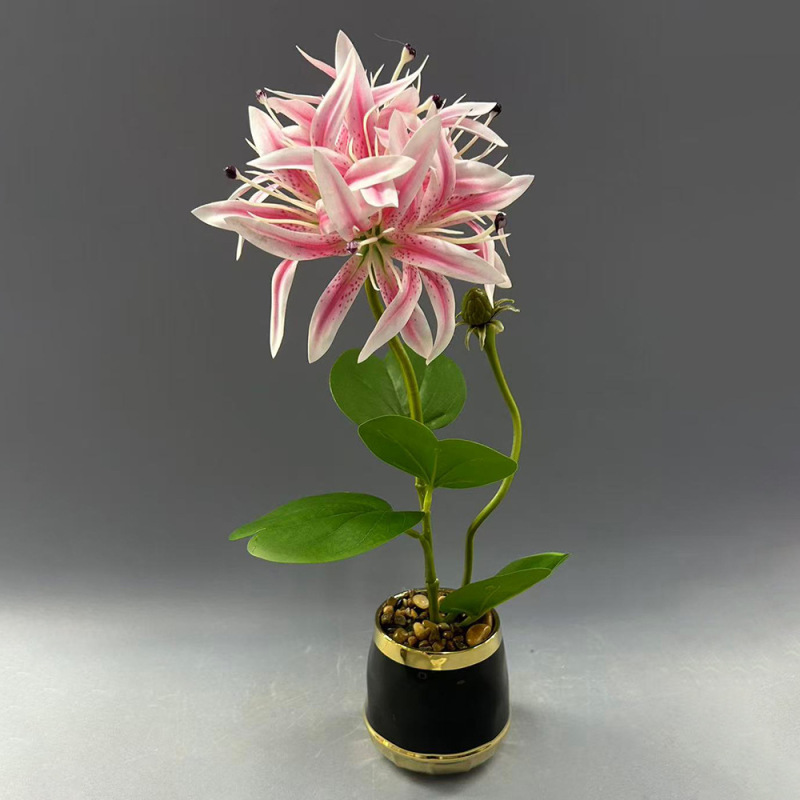 新款植物小盆栽 客厅玄关氛围感装饰仿真植物摆件家居装饰仿真花|undefined