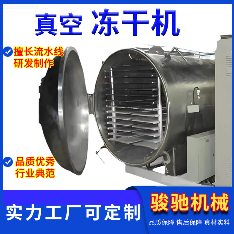 源头厂家冻干机 水果蔬菜冻干流水线 商用大型真空冷冻干燥机