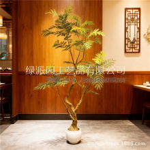 �����{������Ա��W�L�d�Ә�٘����~�b�չ�d�ٻ�ˇ��ľGֲ