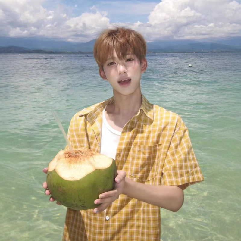 American Retro Plaid Shirt Men's Short-Sleeved Summer Casual Trendy Ice Silk Shirt Men's High-End Trendy Brand Handsome Jacket