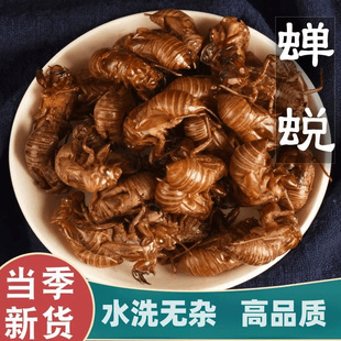 ��ș���s͑ 100g�sÓ ���s�½��s���sƤ�s���s��֪��Ƥ ֪�˚���