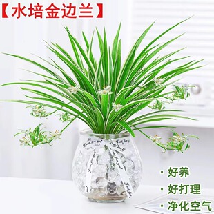 ˮ��ֲ���߅���m�����҃�����Gֲ���ܿ͏d�̨�����՚���Bֲ��