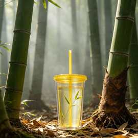 健康环保无毒双层透明吸管杯奶茶杯食品级材质家用办公杯可循环用