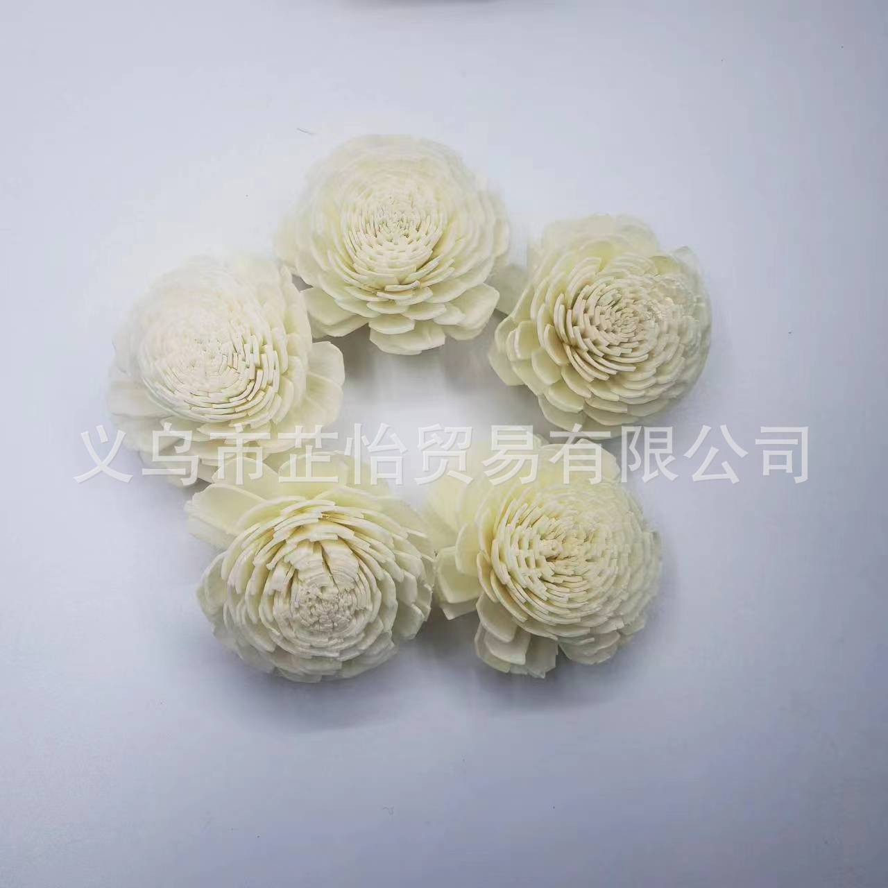 微信图片_20230306154142