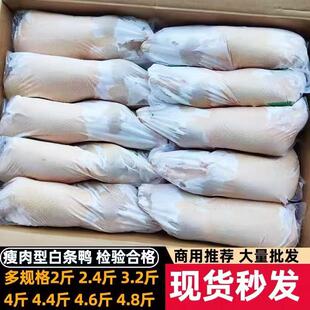 �חl�����r�������20��10ֻ���r���ҹ�����������ֻ�����������l