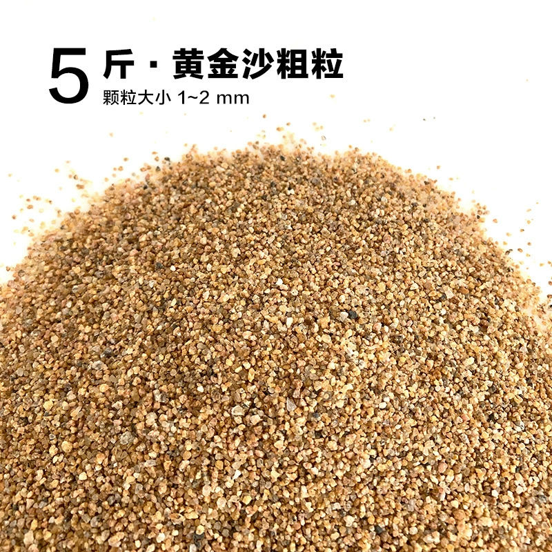 楸肩几搴曠爞閫犳櫙搴曟矙涔岄緹娌虫矙鍖栧