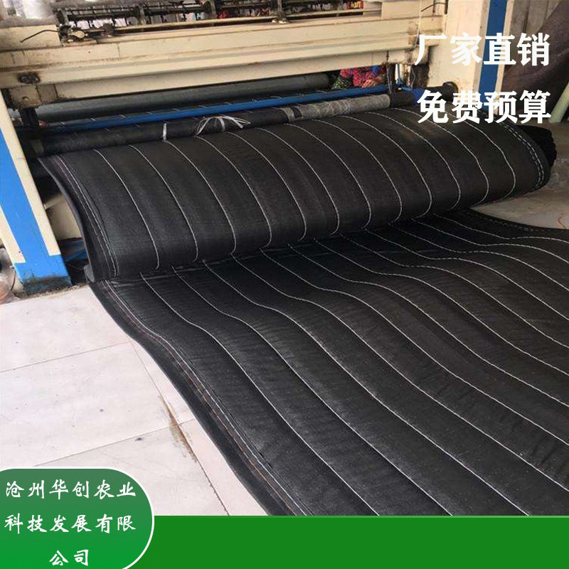 蔬菜加厚棉被养殖棚过冬珍珠棉防寒毡毛毡防雨棉大棚保温大棚专用