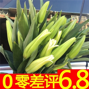 ��ˮ�ٺ��r�л�������ϻ���ֱ�lˮ�B��ͥ�廨���^õ��̎������]