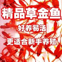 �t�ݽ��~���B�ͻ��Lβ��t���^�p�~�\�����w��ˮ�~�t���~��ˮ�~��