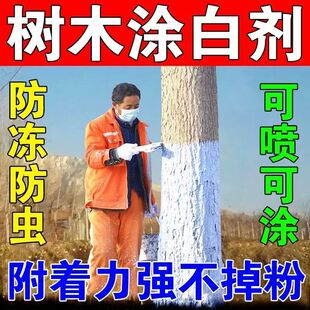 ��ľ�T�ׄ�����Խ������������x�����@�ִ��ˢ�׷ۄ��ɇ��T