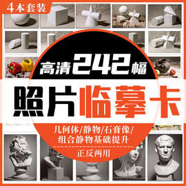 照片临摹卡4本（几何体/静物/石膏像）美术绘画写生参考素材图片