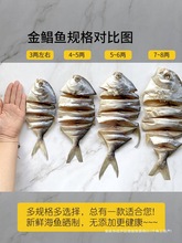 阳江产大金鲳鱼干海鲜干货咸鱼干淡晒金昌鱼自制风干金仓鱼海味
