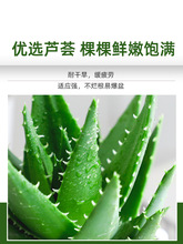 �J�C�����҃ȳ���ȩ�����՚⻨�ܾGֲ�k�������ƶ���ֲ���ļ����B