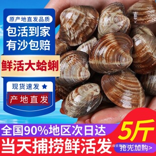 �r����ۺ����oɳ�����ش󻨸��ĸ���S͘�ӻ���ؐ��r��ؐ����