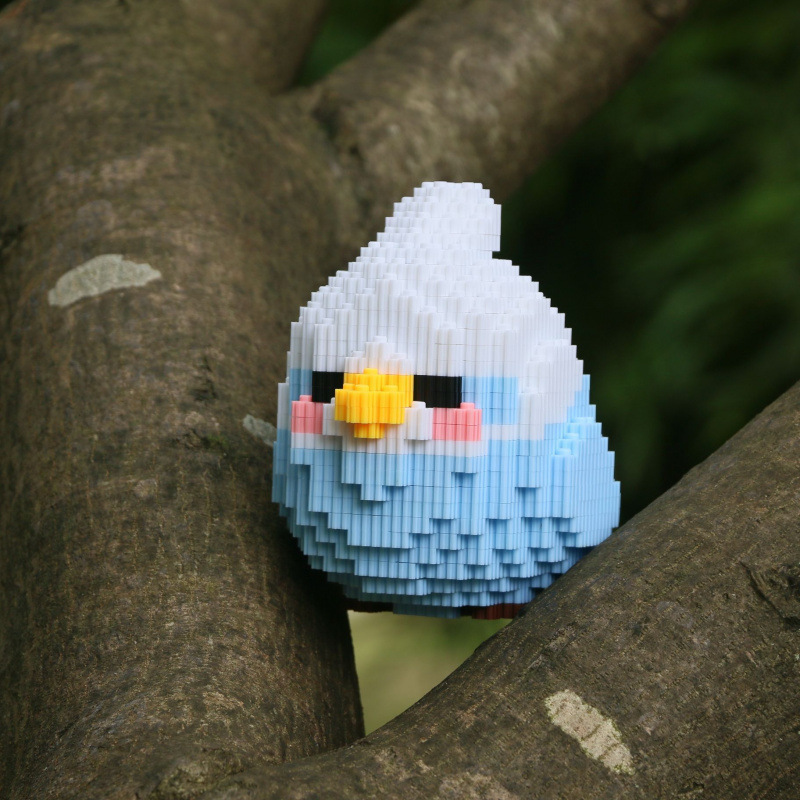 아쿠아 블루 버드